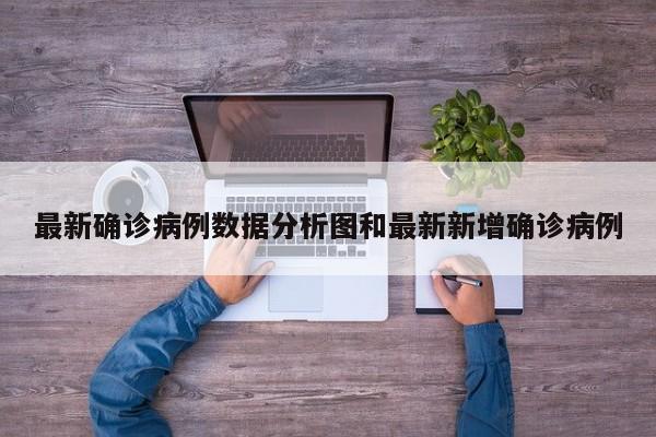最新确诊病例数据分析图和最新新增确诊病例