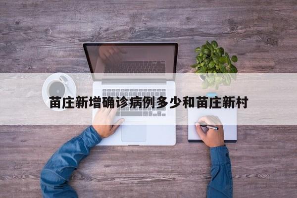 苗庄新增确诊病例多少和苗庄新村