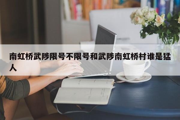 南虹桥武陟限号不限号和武陟南虹桥村谁是猛人