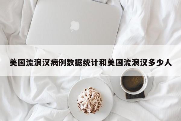 美国流浪汉病例数据统计和美国流浪汉多少人