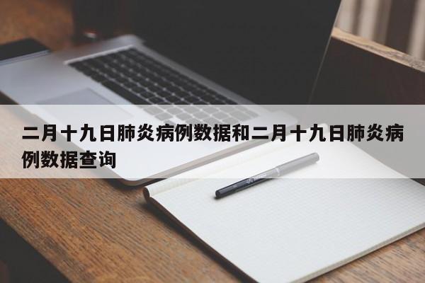 二月十九日肺炎病例数据和二月十九日肺炎病例数据查询