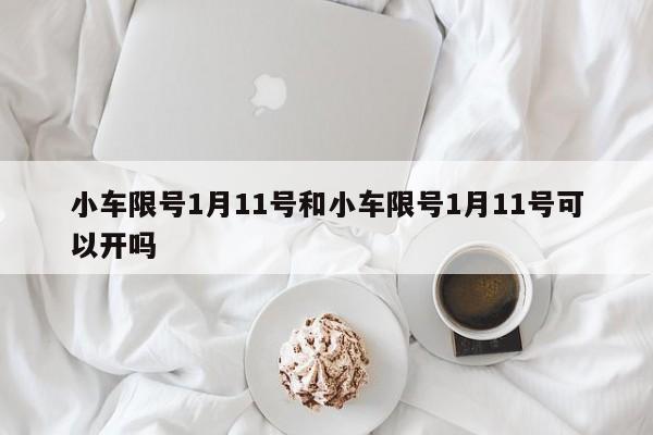 小车限号1月11号和小车限号1月11号可以开吗