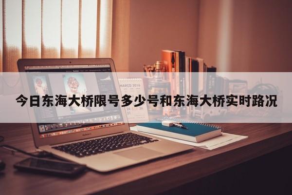 今日东海大桥限号多少号和东海大桥实时路况