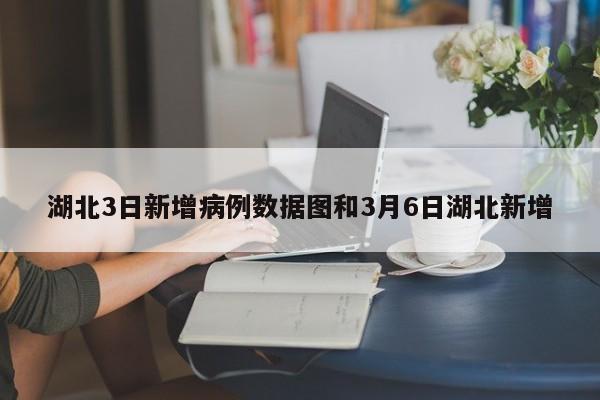 湖北3日新增病例数据图和3月6日湖北新增