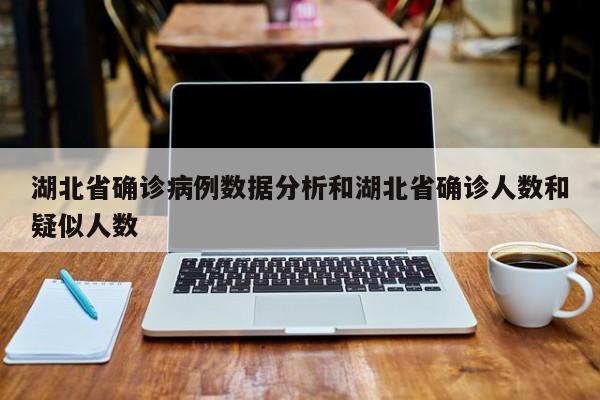 湖北省确诊病例数据分析和湖北省确诊人数和疑似人数