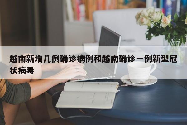 越南新增几例确诊病例和越南确诊一例新型冠状病毒