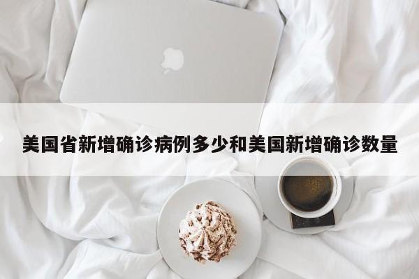 美国省新增确诊病例多少和美国新增确诊数量