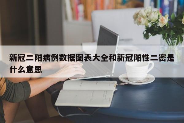 新冠二阳病例数据图表大全和新冠阳性二密是什么意思