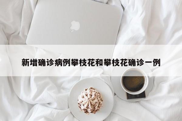 新增确诊病例攀枝花和攀枝花确诊一例