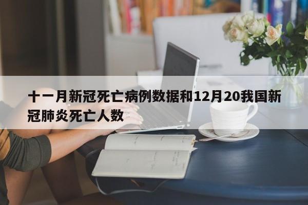 十一月新冠死亡病例数据和12月20我国新冠肺炎死亡人数
