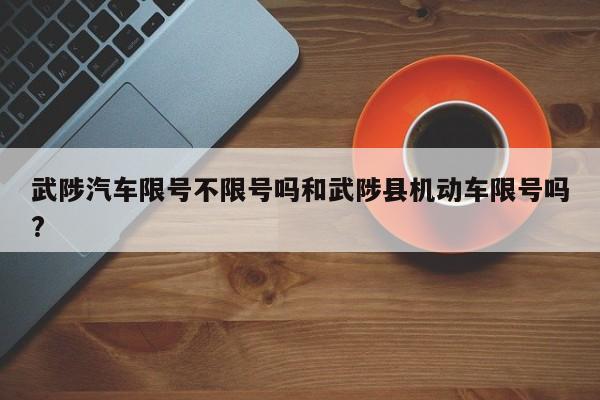 武陟汽车限号不限号吗和武陟县机动车限号吗?